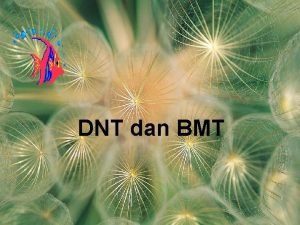 DNT dan BMT FEED ADDITIVES PENGERTIAN Feed additives