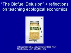 The Biofuel Delusion reflections on teaching ecological economics