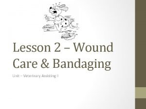 Lesson 2 Wound Care Bandaging Unit Veterinary Assisting