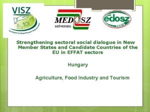 Strengthening sectoral social dialogue in New Member States