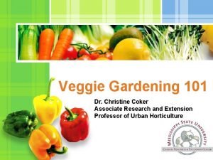 Veggie Gardening 101 Dr Christine Coker Associate Research