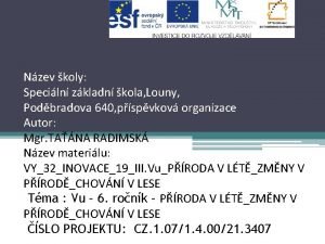 Nzev koly Speciln zkladn kola Louny Podbradova 640