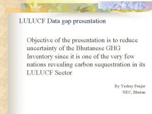 LULUCF Data gap presentation Objective of the presentation