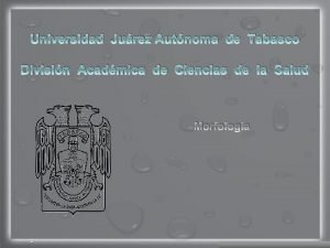 Universidad Jurez Autnoma de Tabasco Divisin Acadmica de