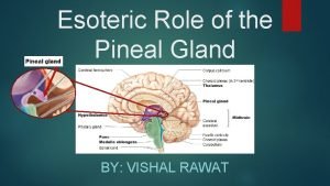 Pituitary gland and pineal gland spiritual