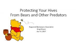 Protecting Your Hives From Bears and Other Predators