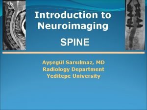 Introduction to Neuroimaging SPINE Ayegl Sarslmaz MD Radiology