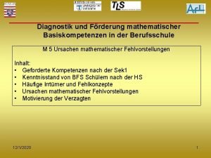 Diagnostik und Frderung mathematischer Basiskompetenzen in der Berufsschule