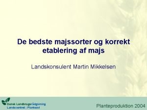 Tidlige majssorter