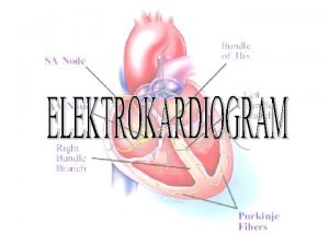 EKG NORMAL Kegunaan Pemeriksaan EKG rekaman EKG 12