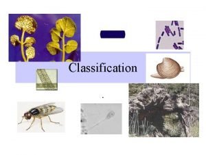 Classification Taxonomy The science of naming organisms Uses