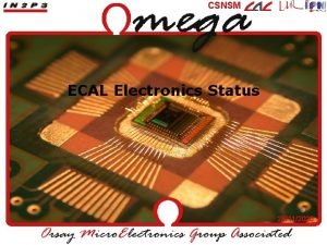 CSNSM ECAL Electronics Status 26112020 ASIC design SKIROC