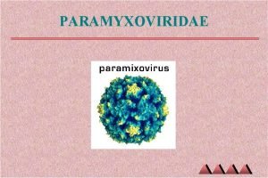 PARAMYXOVIRIDAE Paramyxoviridae v ARN monocatenarios v 150 200