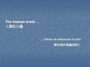 The human brain tricks us whenever it can