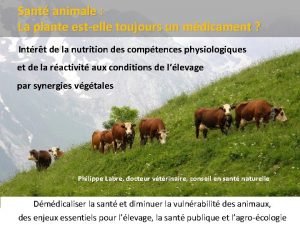 Sant animale La plante estelle toujours un mdicament