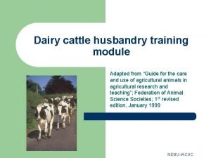 Dairy cattle husbandry training module Adapted from Guide