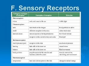 F Sensory Receptors What are sensory receptors http