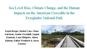 Sea Level Rise Climate Change and the Human