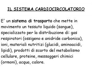 IL SISTEMA CARDIOCIRCOLATORIO E un sistema di trasporto