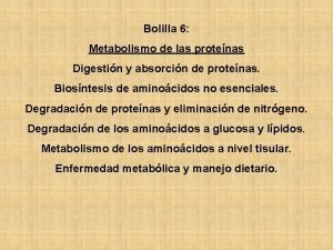 Bolilla 6 Metabolismo de las protenas Digestin y
