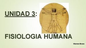 UNIDAD 3 FISIOLOGIA HUMANA Warnes Bruno FISIOLOGA HUMANA