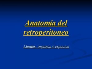 Anatoma del retroperitoneo Lmites rganos y espacios Anatoma