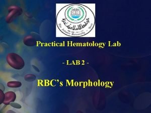 Practical Hematology Lab LAB 2 RBCs Morphology RBCS