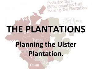 Planning plantation