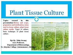Uses of plant tissue culture