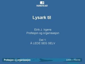 Irgens profesjon og organisasjon