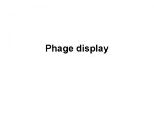 Phage display Phage display is a term describing