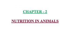 CHAPTER 2 NUTRITION IN ANIMALS 1 Animal nutrition