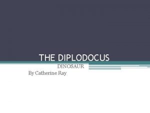 Diplodocus diagram