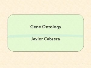 Gene Ontology Javier Cabrera 1 Outline Goal How