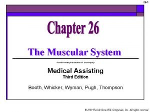 Muscular system