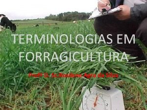 TERMINOLOGIAS EM FORRAGICULTURA Prof D Sc Rosilene Agra