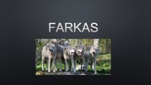 Közönséges farkas