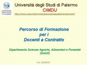 Universit degli Studi di Palermo CIMDU https www