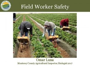 Field Worker Safety Omar Luna Monterey County Agricultural