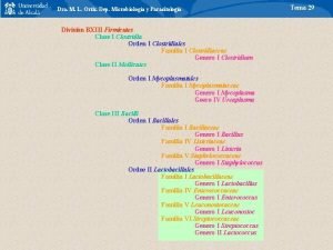 Dra M L Ortiz Dep Microbiologa y Parasitologa