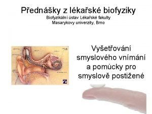 Pednky z lkask biofyziky Biofyzikln stav Lkask fakulty