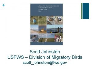 Scott Johnston USFWS Division of Migratory Birds scottjohnstonfws