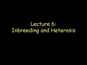 Lecture 6 Inbreeding and Heterosis Inbreeding Inbreeding mating