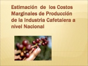 Estimacin de los Costos Marginales de Produccin de