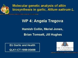 Molecular genetic analysis of alliin biosynthesis in garlic