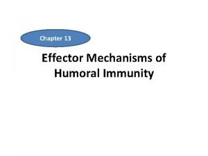 Chapter 13 Effector Mechanisms of Humoral Immunity Effector