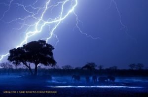 Lightning strikes in Hwange National Park Zimbabwe Adam