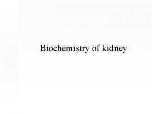 Biochemistry of kidney Functions of the Kidney Regulation