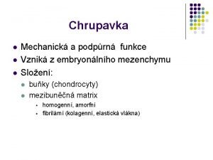 Hyalinní chrupavka