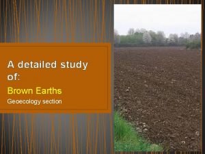 Brown earth soil ireland